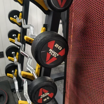 A loaded rack of dumbbells and weight plates in a gym