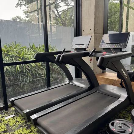 A row of treadmills beside a glass wall looking onto greenery