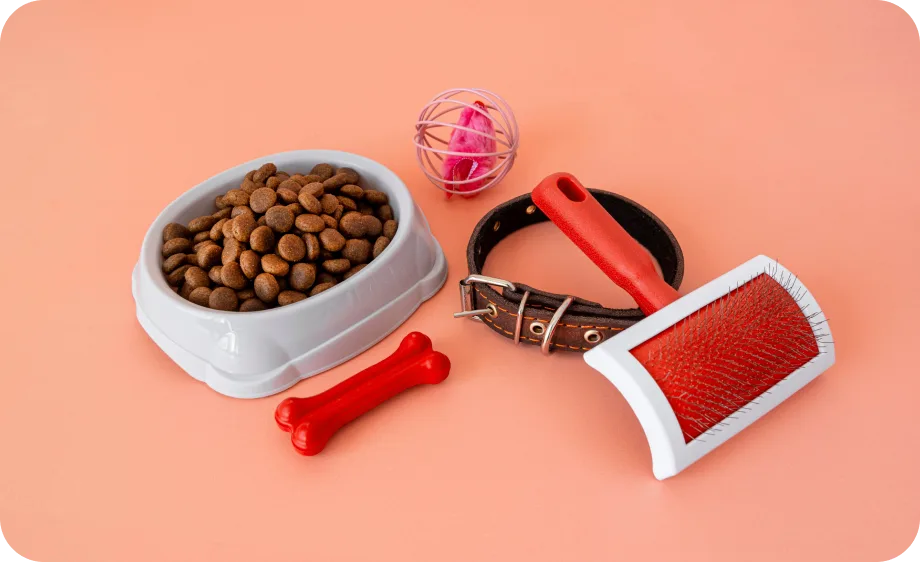 Dog bowl of kibble with a collar, brush, ball and rubber bone