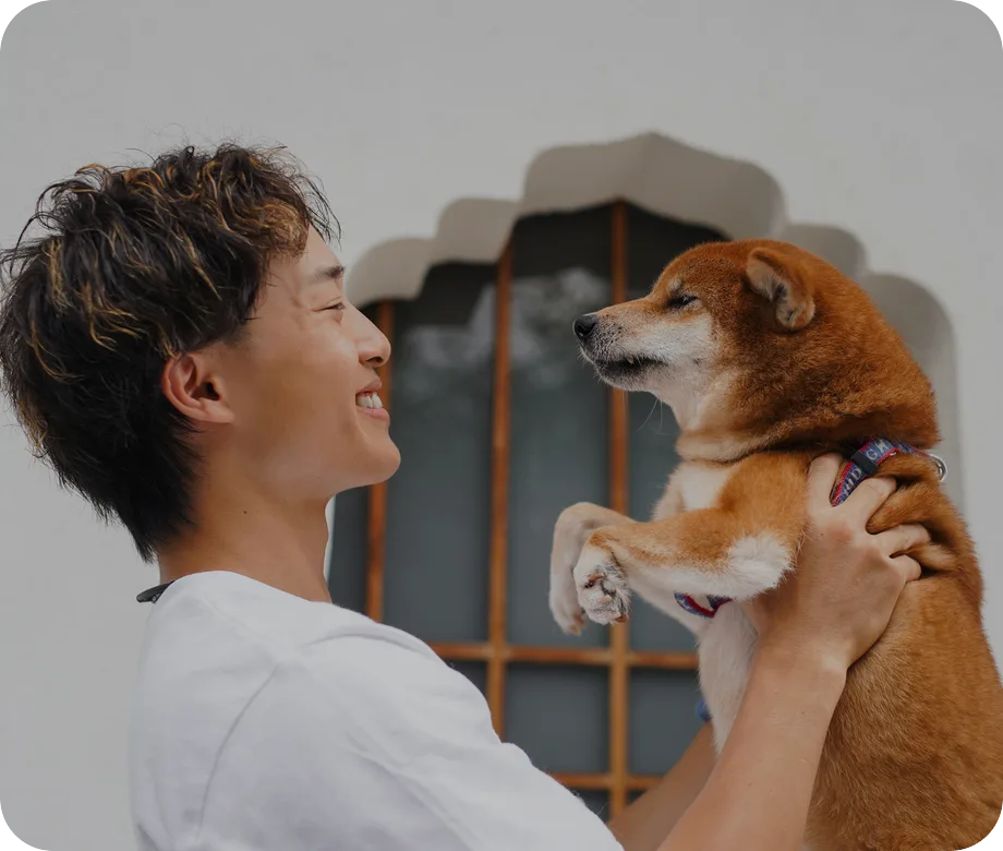 Video still of a groomer caring for a dog