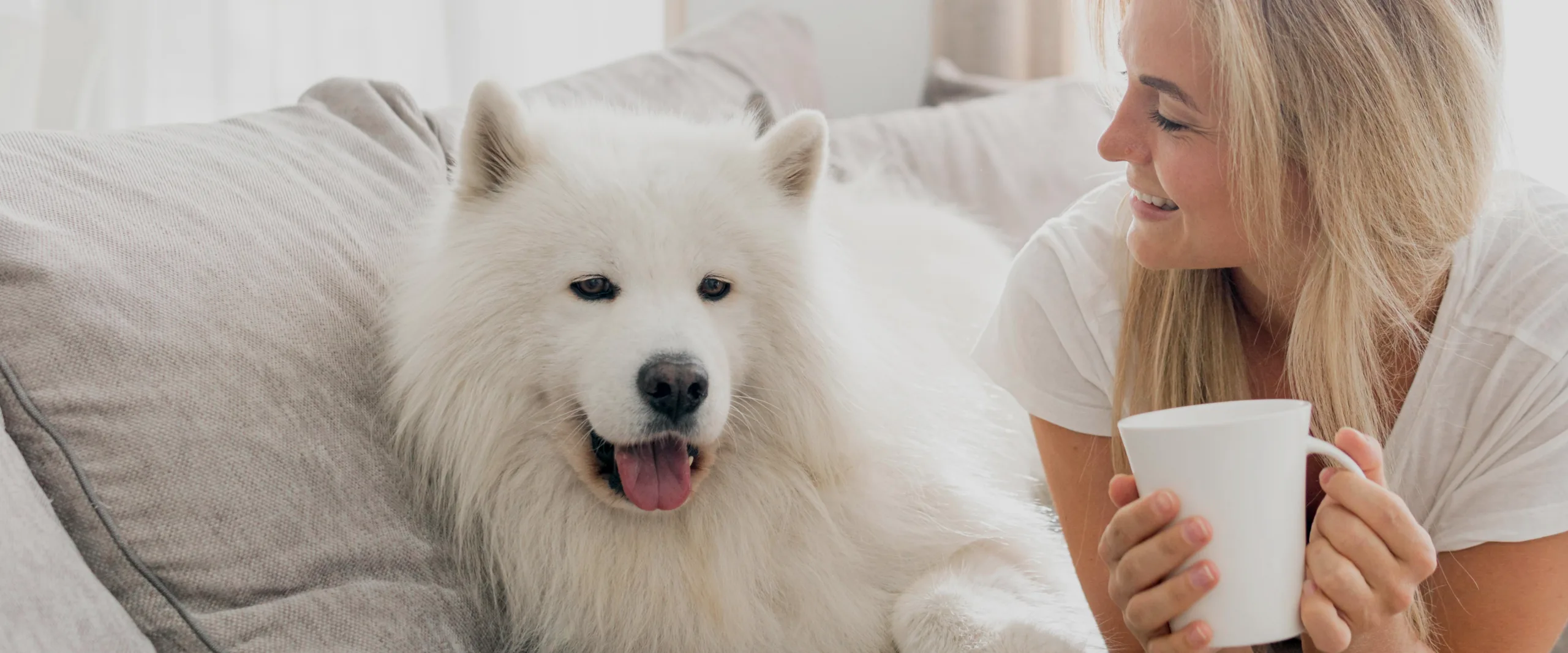 A woman resting on a couch with a mug of tea beside her white Samoyed dog