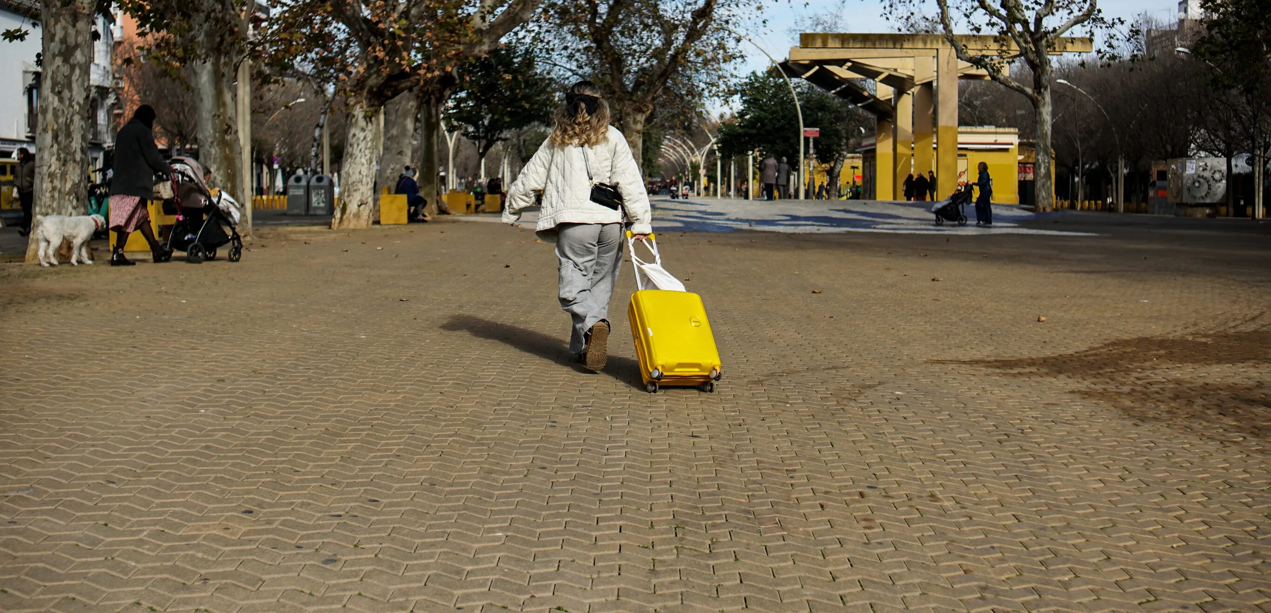 A woman pulling a yellow hard-shell suitcase along a tree-lined boulevard